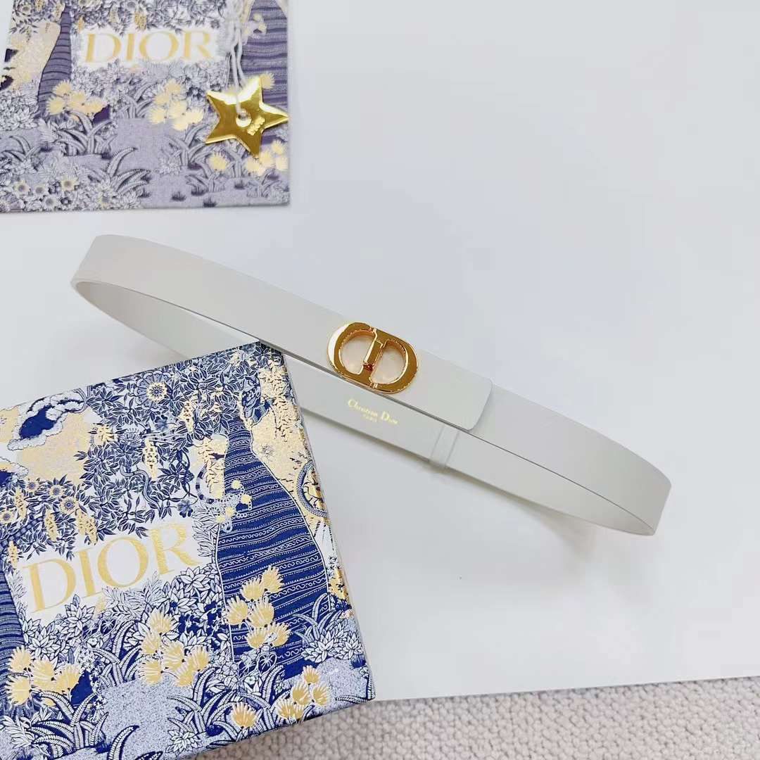 Dior Belt Style #7