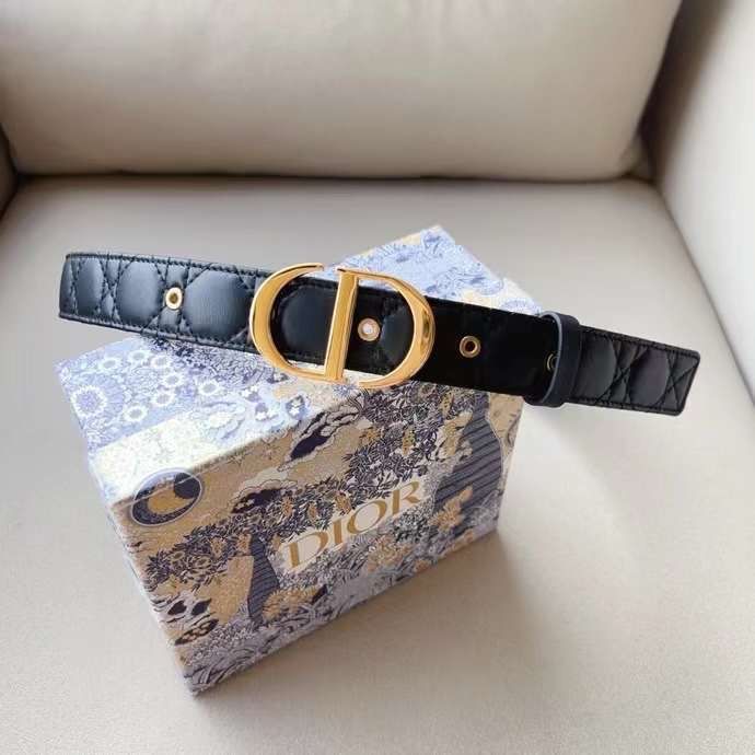 Dior Belt Style #2