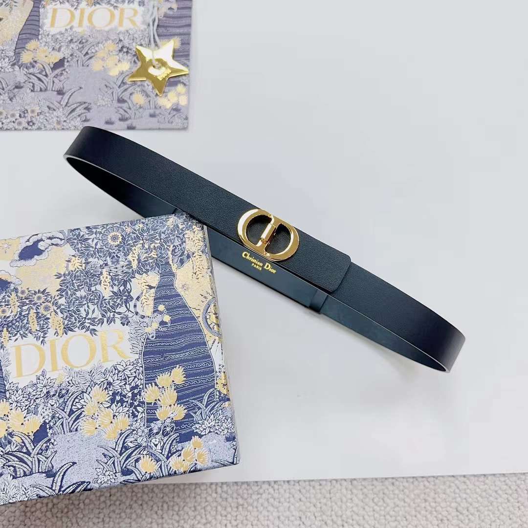 Dior Belt Style #7
